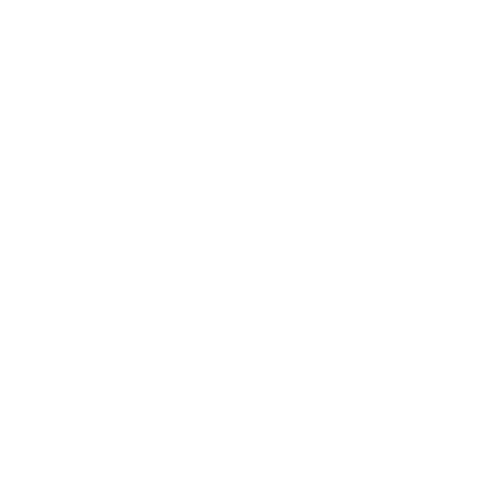 Southernco V W